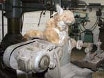 The Engine Workshop