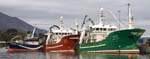 Fishing Boats, Castletownbere