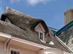 Thatched Roof