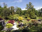 The Japanese Garden