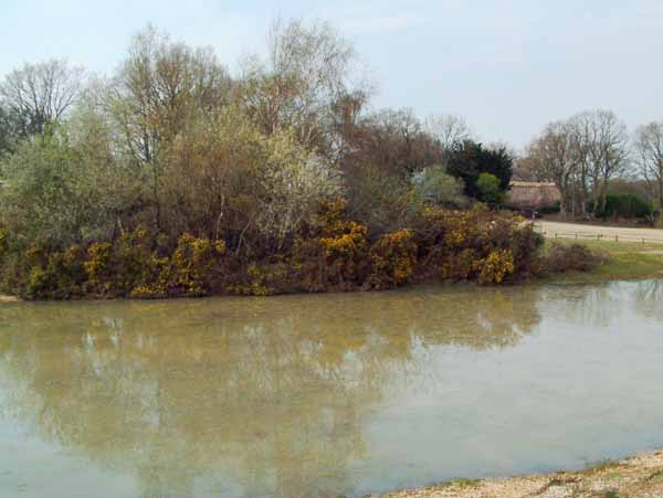 Abbots Well,Abbot's Well,Pond