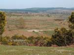 View from Abbots Well