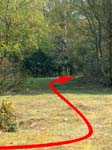 Gorley Common