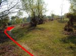 Gorley Common