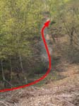 Gorley Common