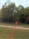Gorley Common