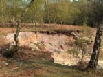 Quarry on Gorley Common