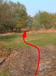 Gorley Common