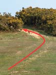 Gorley Common