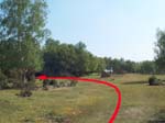Gorley Common