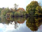 Eyeworth Pond