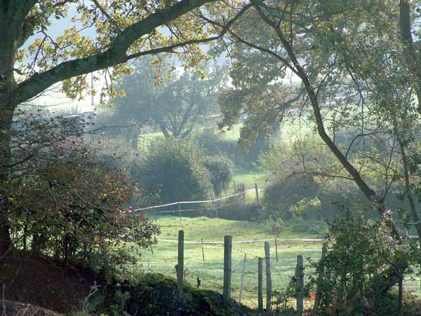 Abbots Well,Abbot's Well