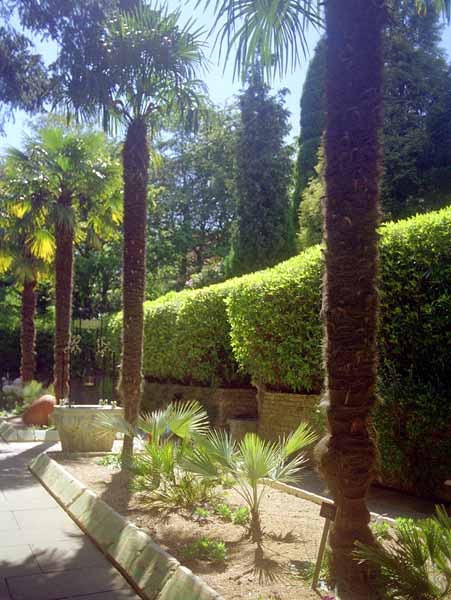 Palm Court,Poole,Compton Acres Gardens,Egyptian,Palms