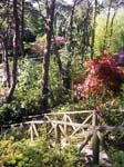 The Wooded Valley