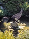 The Rock & Water Garden Compton Acres Gardens