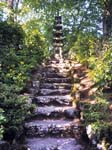 The Japanese Garden