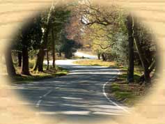 Road